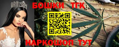 МДПВ Будённовск